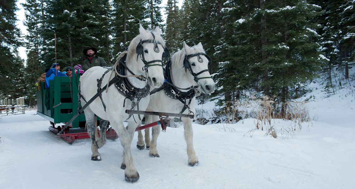 Lone Mountain Sleigh Ride Dinner | Destination Montana