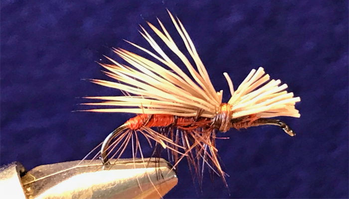 Brown Elk Caddis #10 Hand Tied by Chuck The Fly Guy