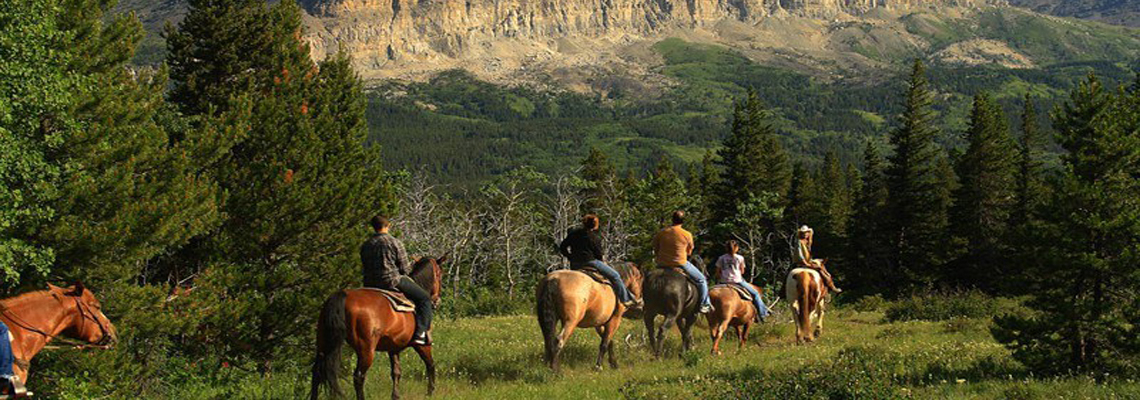 Horseback Trail Rides in Whitefish, Montana