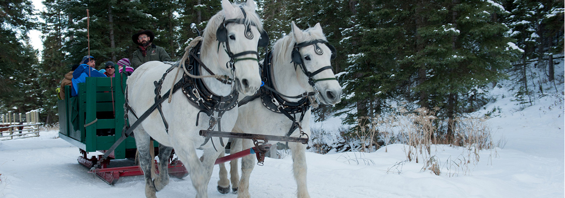 Take a sleigh ride to dinner in Big Sky Montana