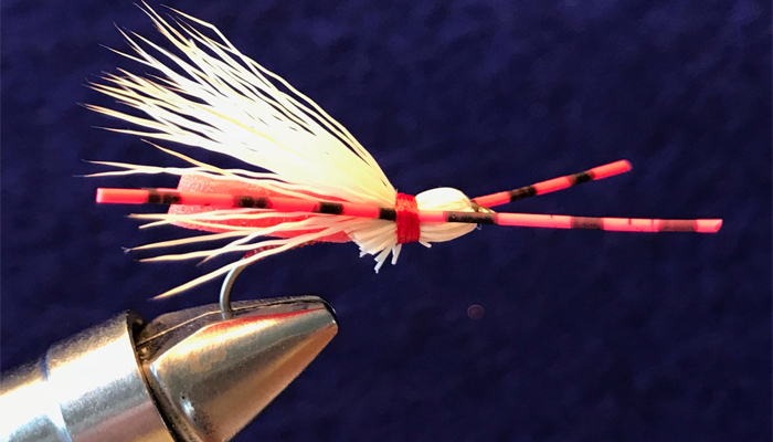 Madam Eva Red #10 Hand Tied by Chuck the Fly Guy