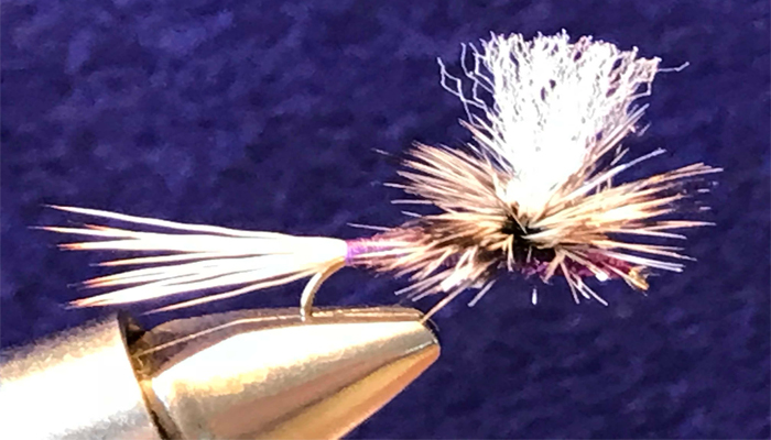 Purple Haze #12 &#8211 - 14 Hand Tied by Chuck the Fly Guy