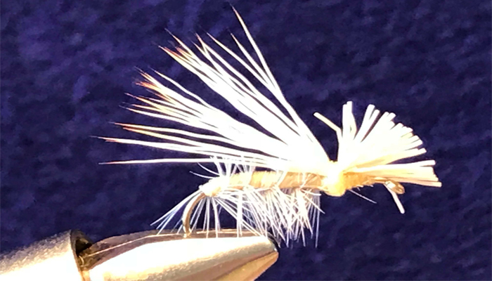 Spruce Moth #12 Hand Tied by Chuck The Fly Guy
