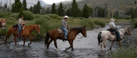 Horseback Rides in Yellowstone National Park