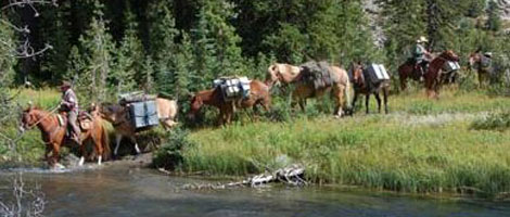 Wilderness Pack Trips in Yellowstone National Park