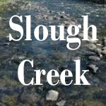 Fly Fishing on Slough Creek in Lamar Valley of Yellowstone Park