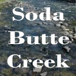 Fly Fishing Soda Butte Creek
