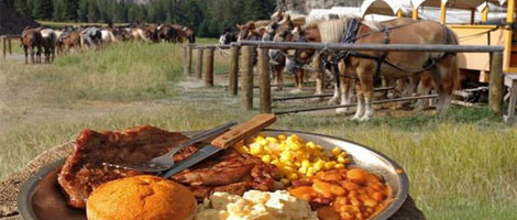 Western Cookout in Yellowstone National Park