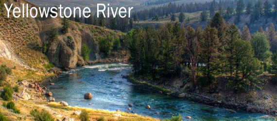Fly Fishing on the Yellowstone River in Montana