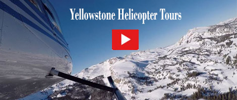 Explore Yellowstone's Outback