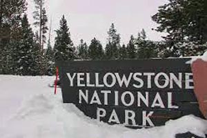 Yellowstone Park Winter