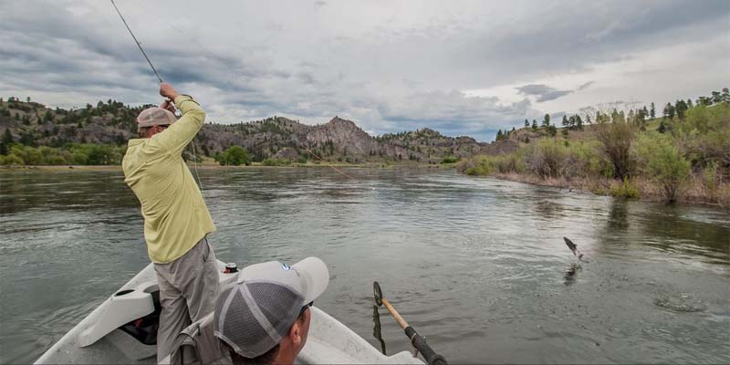 Fish on with Montana Trout On The Fly