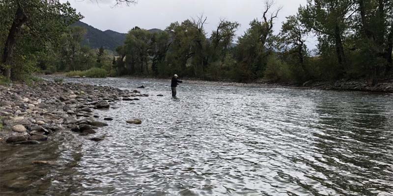 Walk N Wade fishing with Montana Trout On The Fly fishing the Gallatin River