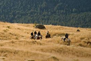 Horseback ride Paradise Valley Montana