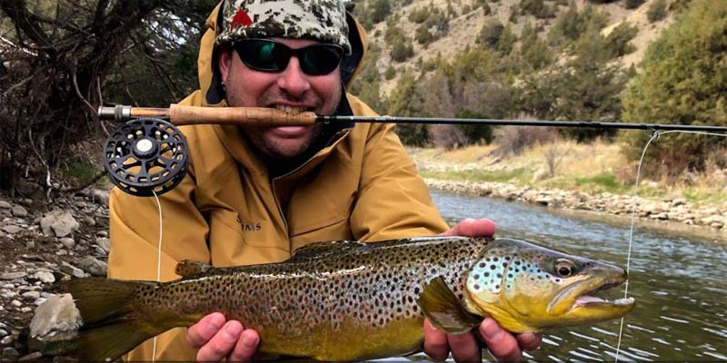Brown trout on the Ruby River with Montana Trout On The Fly Outfitters