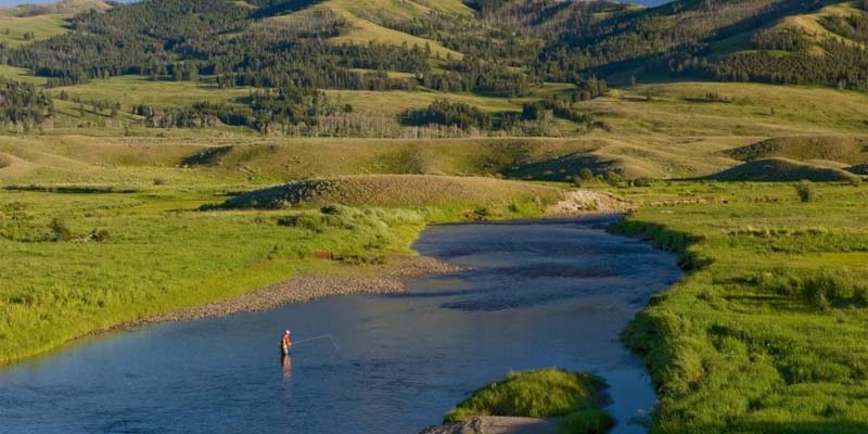 Fly fishing Slough Creek with Montana Trout On The Fly Outfitters