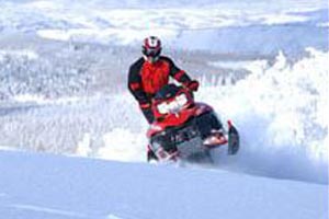 Two Top Snowmobiles