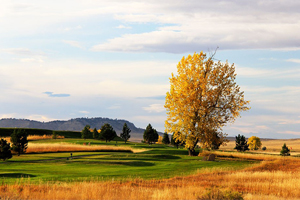 Golf Courses Billings Montana