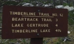 Timberline Trail #12 Montana
