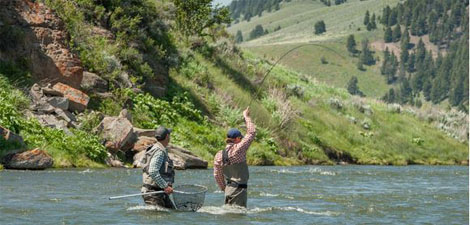 Trout on the Fly Gallatin River Bozeman