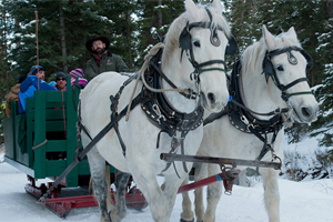 Sleigh Ride and Dinner in Montana