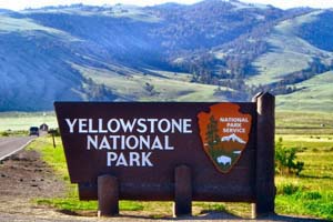 Visit Yellowstone National Park