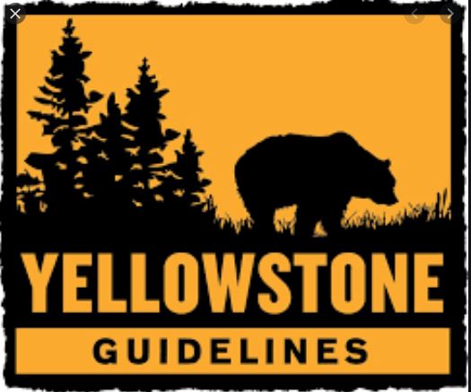 Yellowstone Guidelines Tours