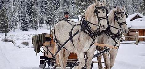 sleigh ride dinners at elkhorn ranch big sky mt