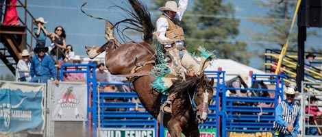 Bigfork Montana Rodeo