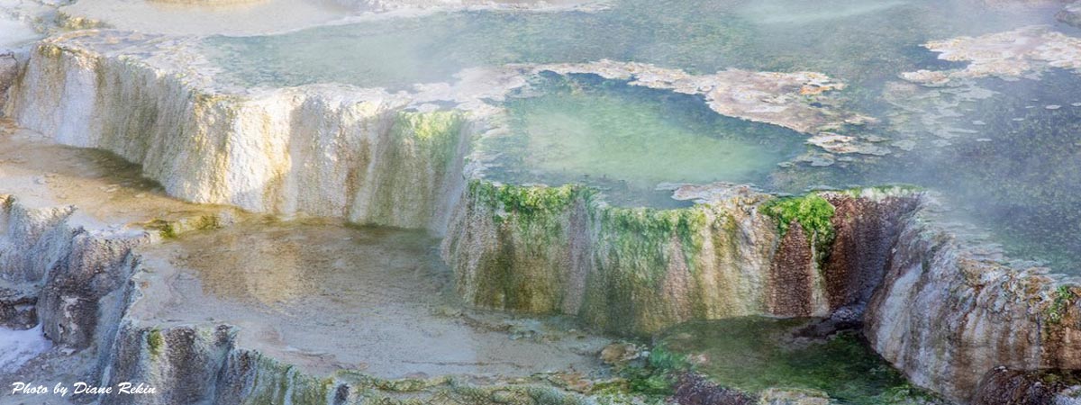 Mammoth Hot Springs image by Diane Renkin